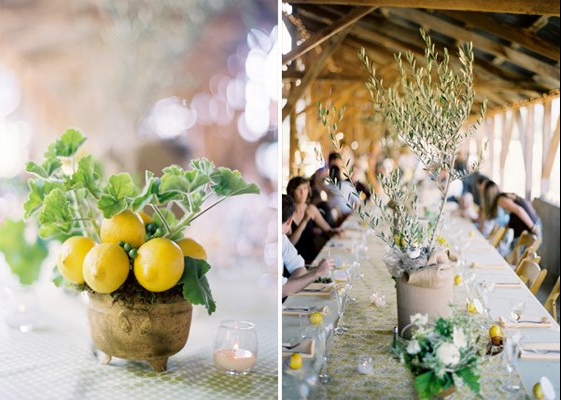 lemon-at-wedding-on-table